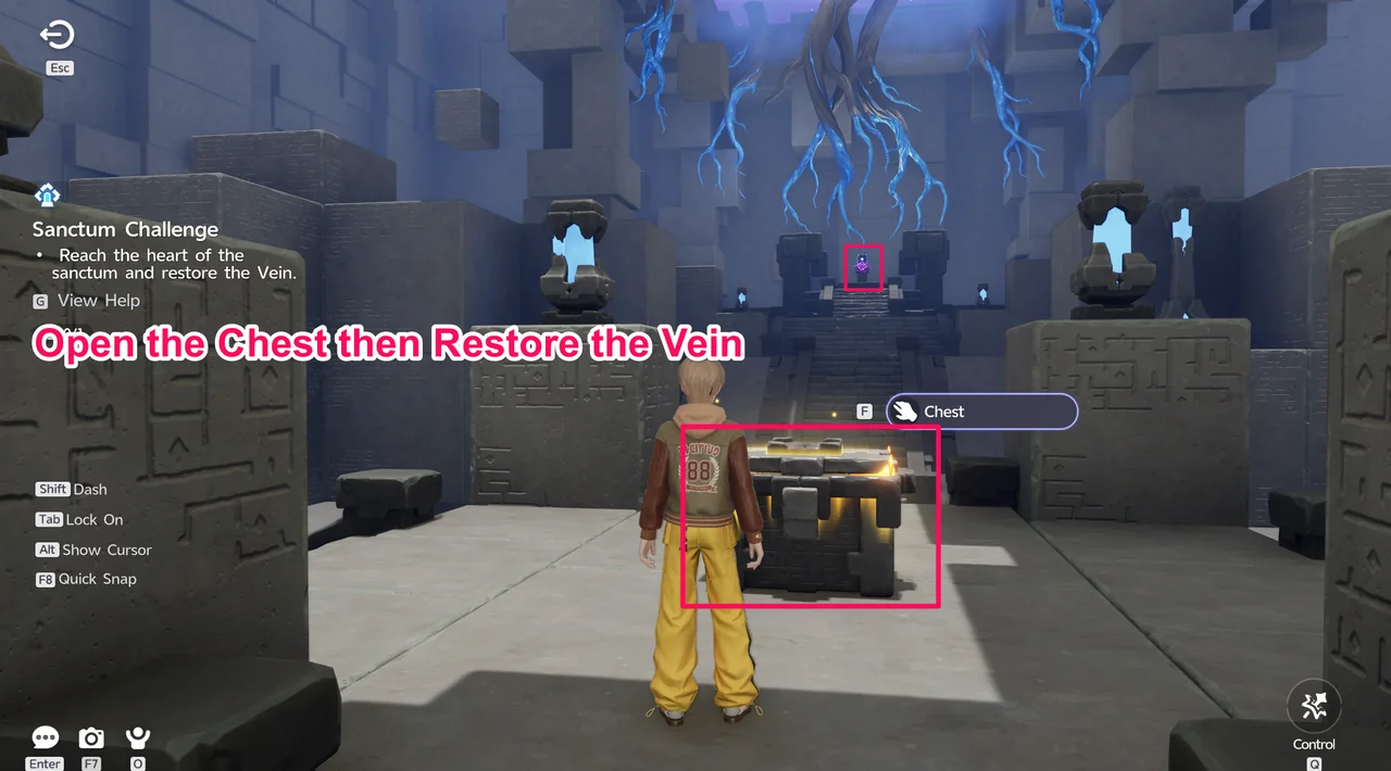 The chest inside Sanctum: Stonebound Sword, with the Vein at the top of the stairs beyond it