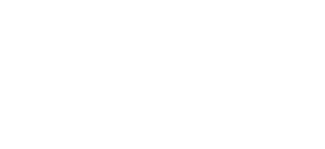 Enshrouded