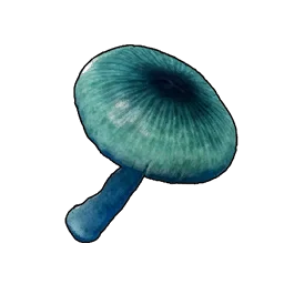 Champignon étrange